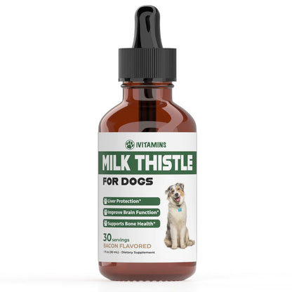 Milk Thistle for Dogs | Supports Liver and Kidney Health | Milk Thistle for Dogs Liver Support | Dog Milk Thistle | Dog Liver Support | Dog Liver Supplement | Milk Thistle Supplement for Dogs | 1 oz